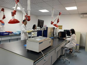 奶牛生产性能测定项目全面展开，助力乳品质量监测体系优化